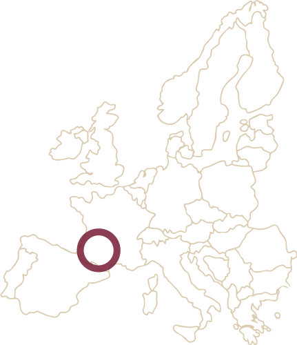 Pétillant Naturel Rosé- La Petite Odyssée Vin de France 2022
